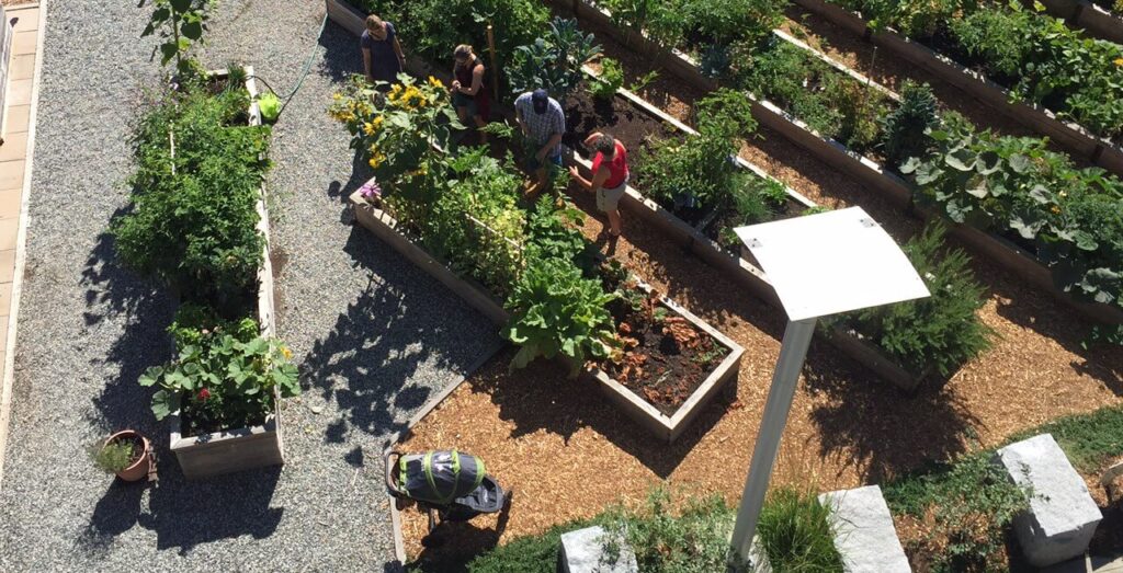 Community Gardening