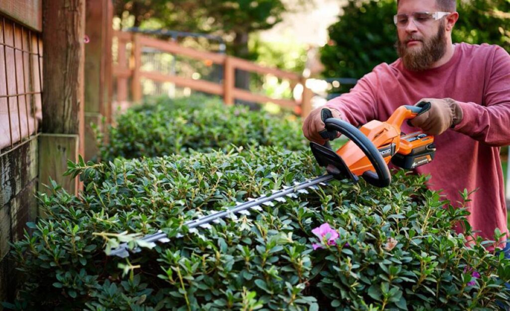 what to do with hedge trimmings