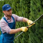 Hedge Trimming and Maintenance for Beautiful Trees in Your Garden