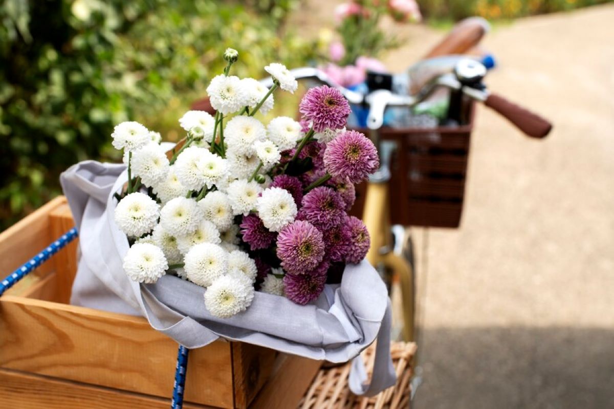 "Same Day Flower Delivery in Sydney