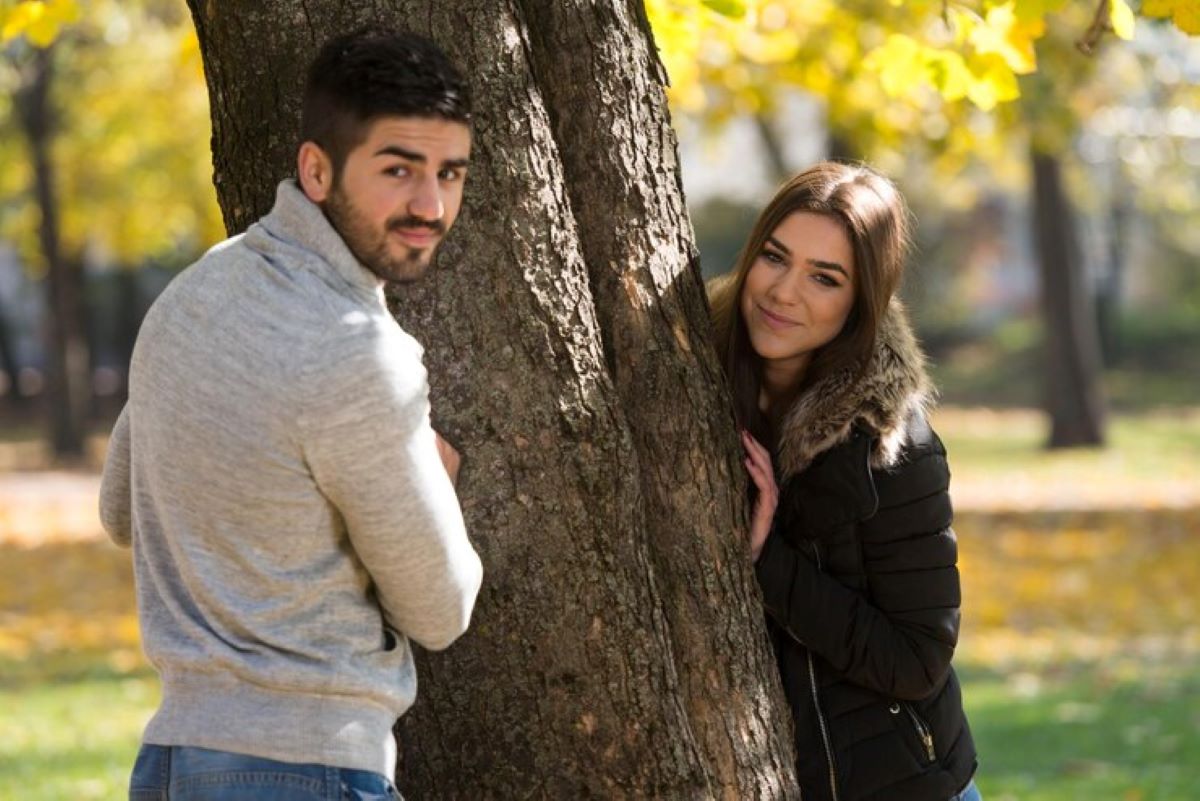 North Shore tree services